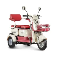 Электротрицикл Rutrike Gelbert Mercury 48V/60V 650Вт Бело-красный